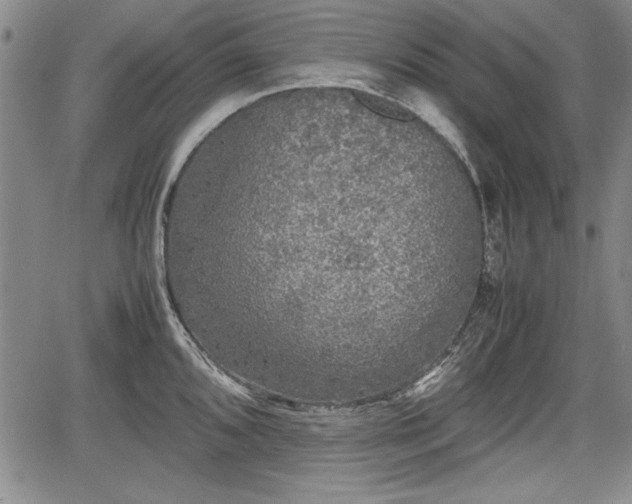 X0000067501096200604101224