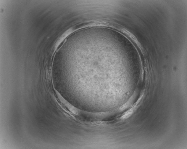 X0000067501097200604101224