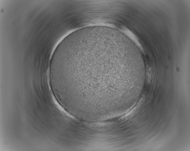 X0000067501100200604101224