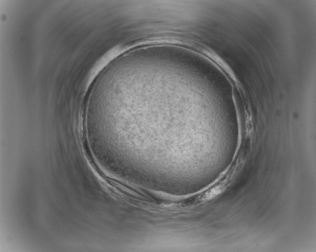 X0000067501101200604101224