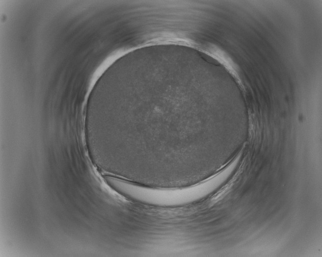 X0000067501102200604101224