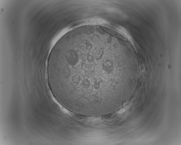 X0000067501103200604101224