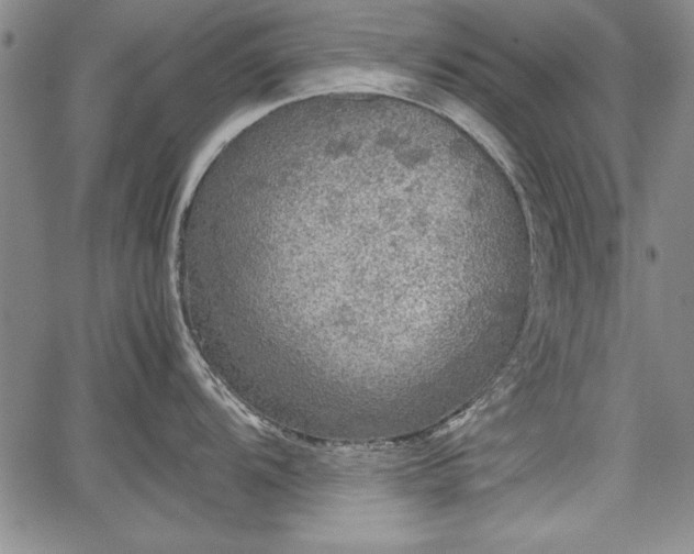 X0000067501104200604101224