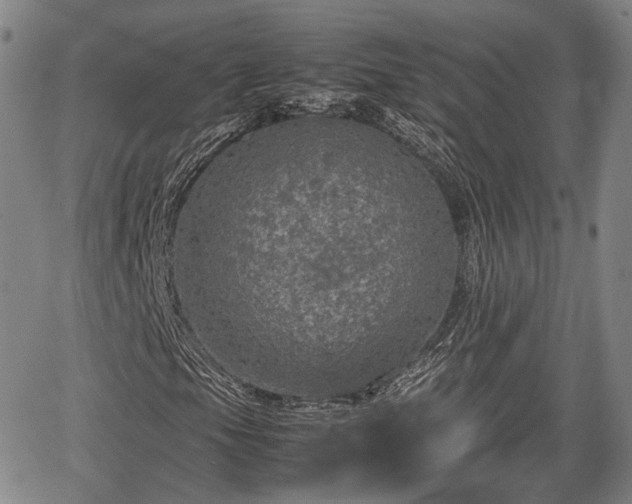 X0000067501105200604101223