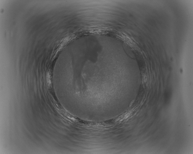 X0000067501106200604101223