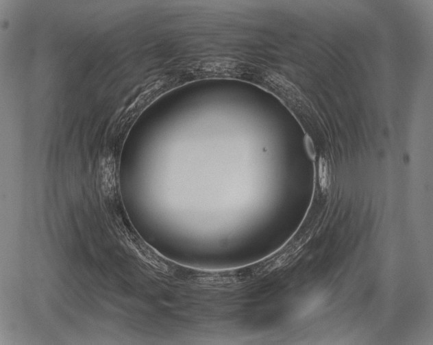 X0000067501107200604101223