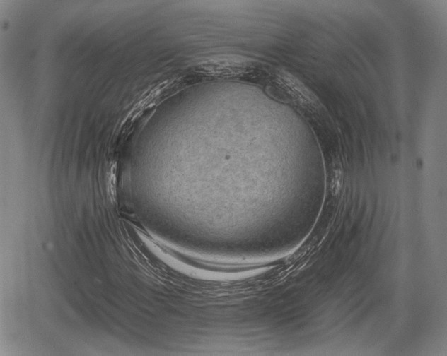 X0000067501108200604101223