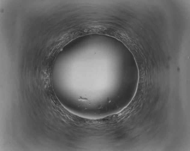 X0000067501109200604101223