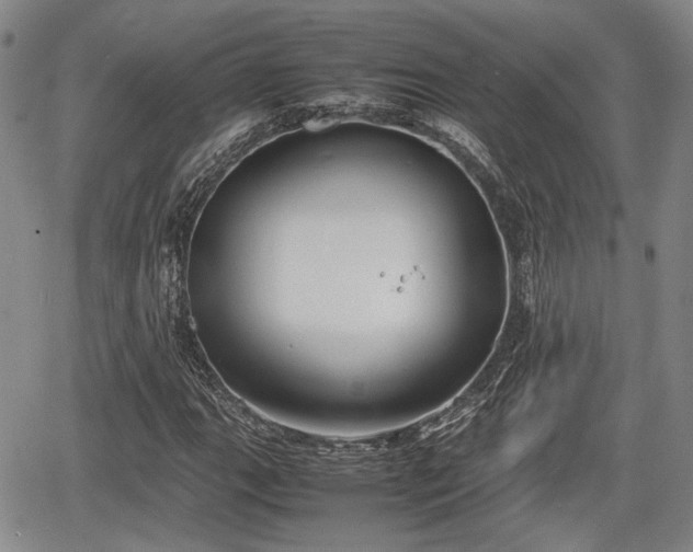 X0000067501111200604101223