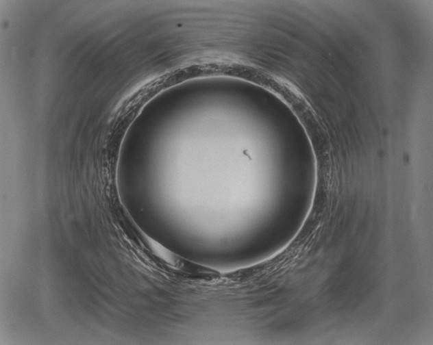 X0000067501112200604101223