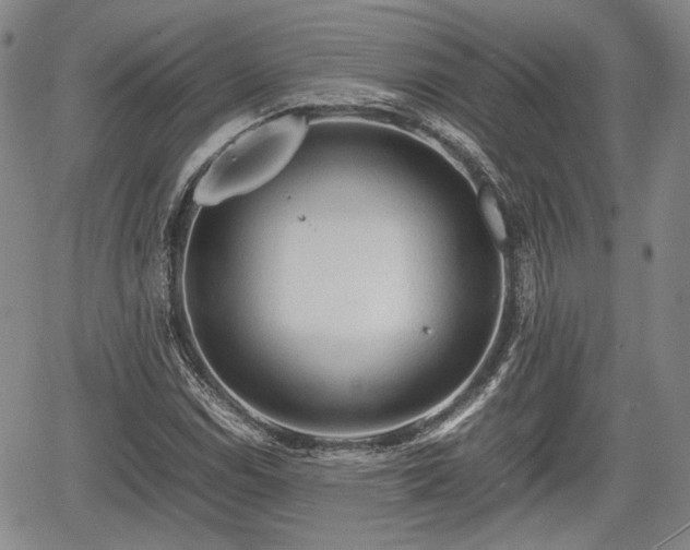 X0000067501114200604101223