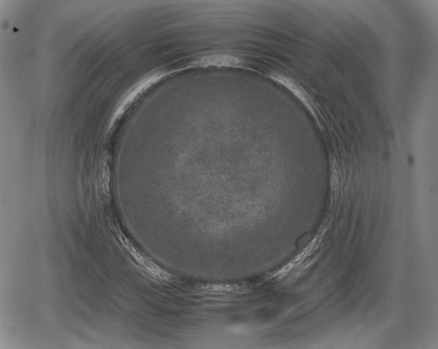 X0000067501115200604101223