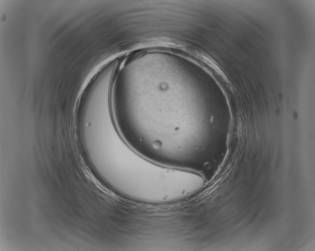 X0000067501116200604101223