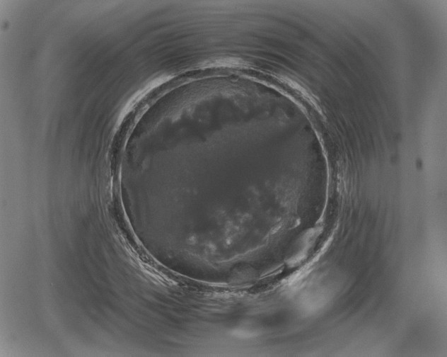 X0000067501117200604101224