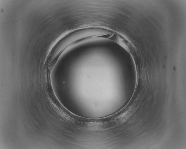 X0000067501118200604101224