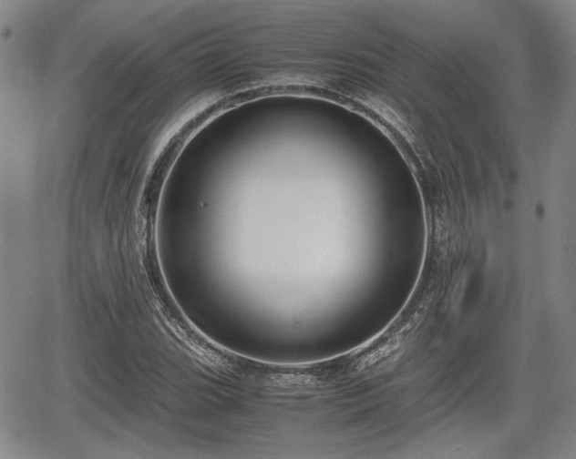 X0000067501119200604101224