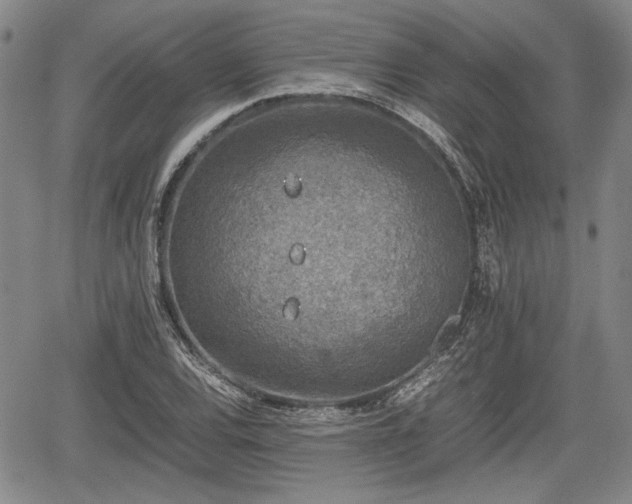 X0000067501120200604101224