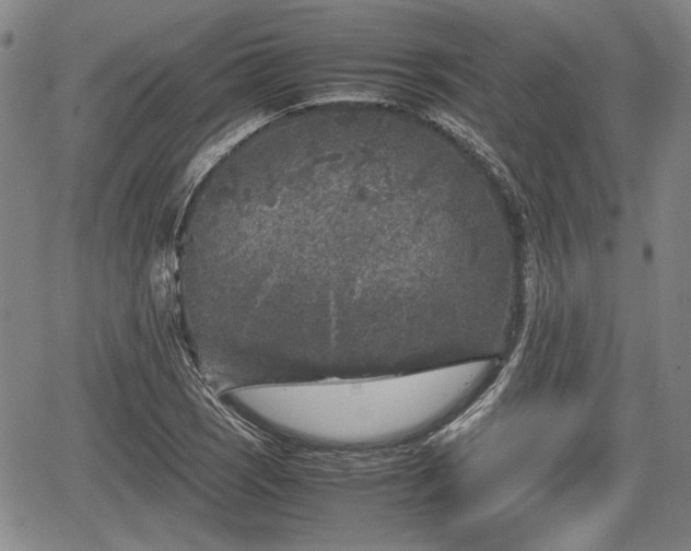 X0000067501121200604101224