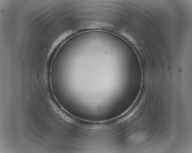 X0000067501122200604101224