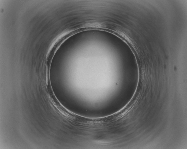 X0000067501123200604101224