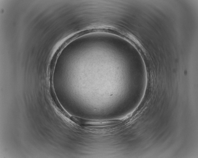 X0000067501124200604101224