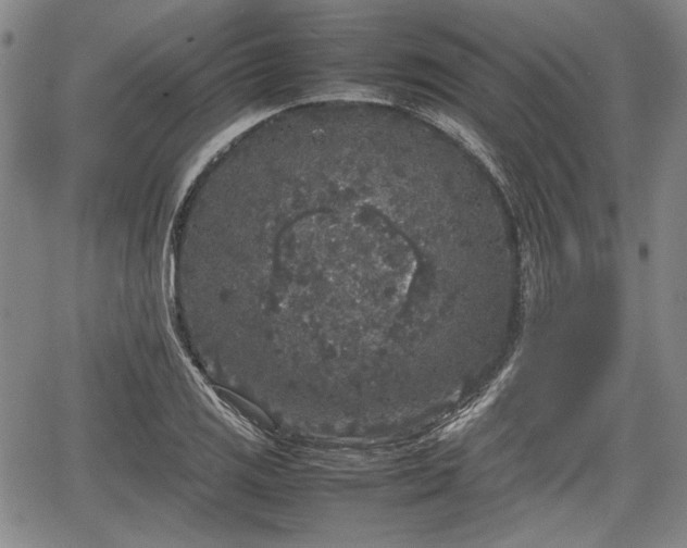 X0000067501125200604101224