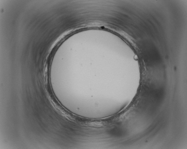 X0000067501126200604101224