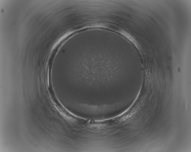 X0000067501127200604101224