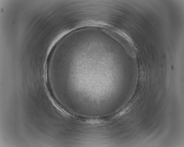 X0000067501128200604101224