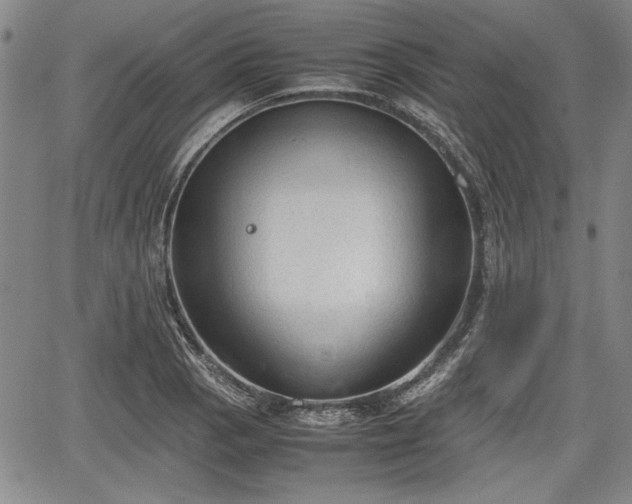 X0000067501129200604101224