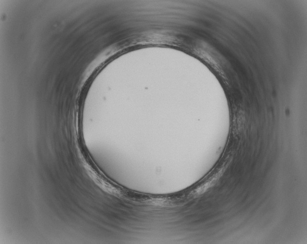 X0000067501130200604101224