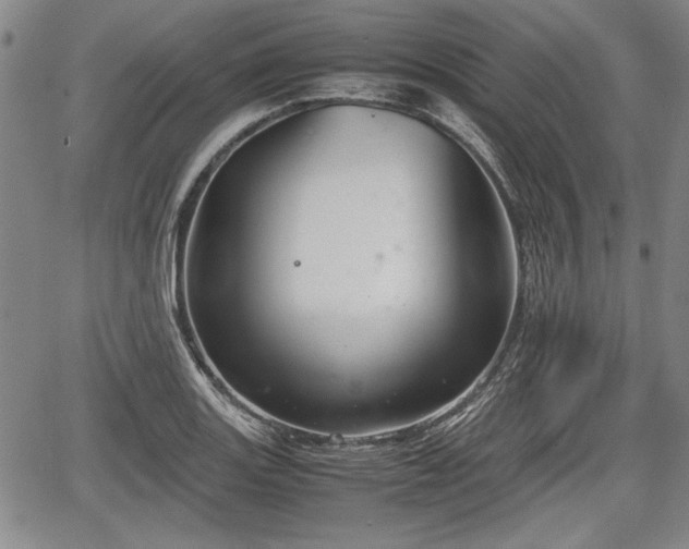 X0000067501131200604101224