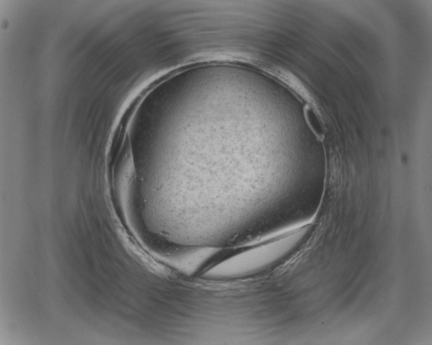 X0000067501132200604101224