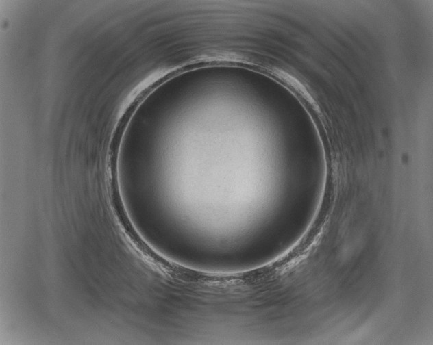 X0000067501133200604101224