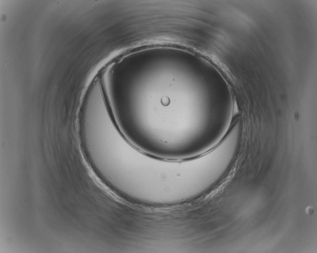 X0000067501134200604101224