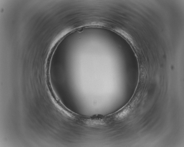 X0000067501135200604101224