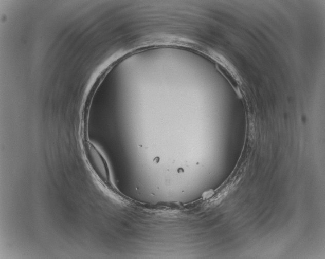 X0000067501136200604101224