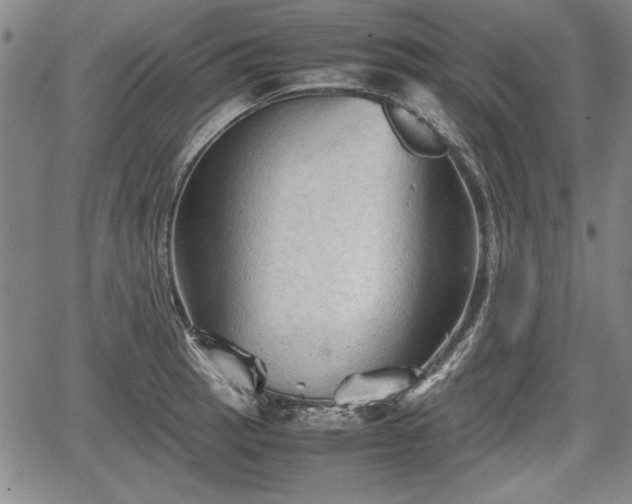 X0000067501137200604101224