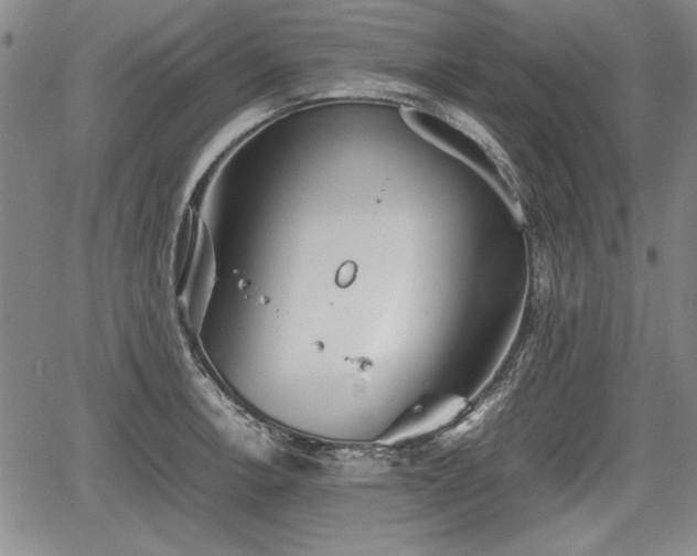 X0000067501138200604101224