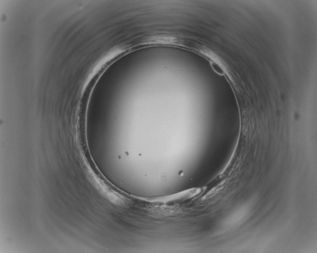 X0000067501139200604101224