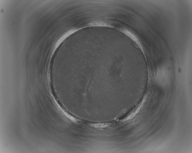 X0000067501141200604101224