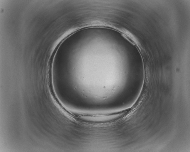 X0000067501142200604101224