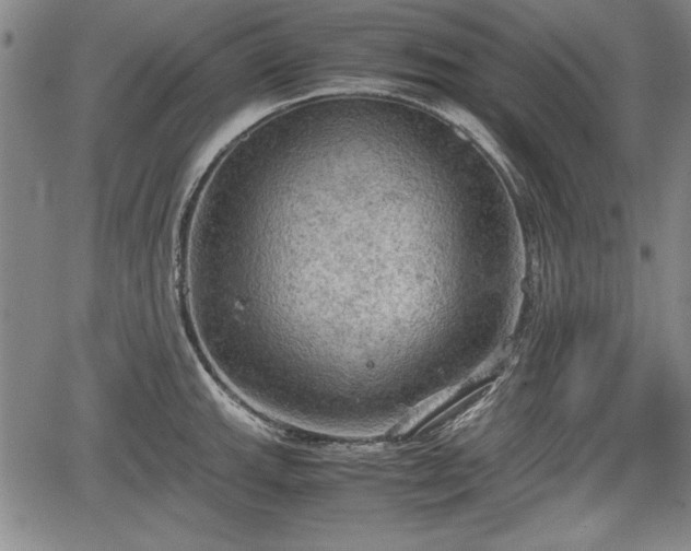 X0000067501143200604101224