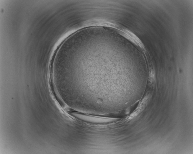 X0000067501144200604101224