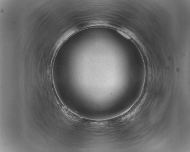 X0000067501145200604101224