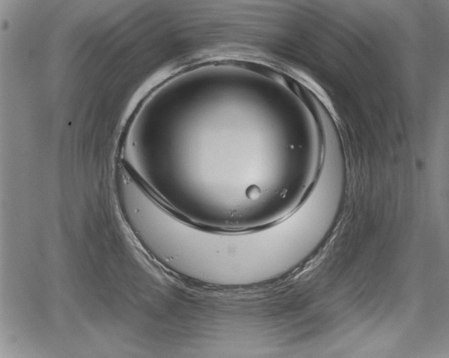 X0000067501146200604101224