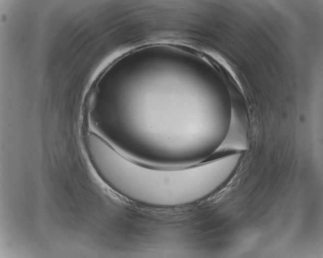 X0000067501147200604101224