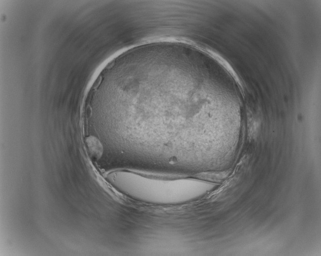 X0000067501148200604101224