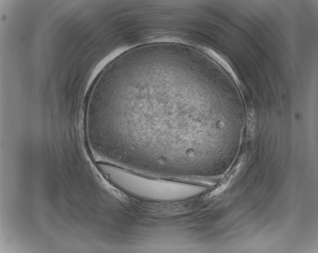 X0000067501149200604101224