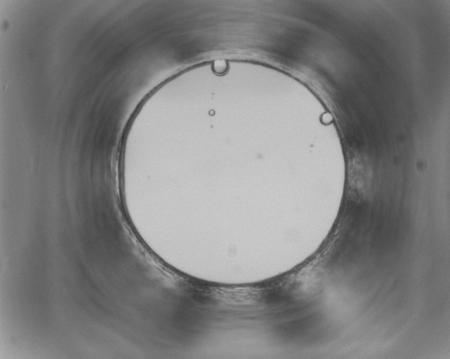 X0000067501150200604101224